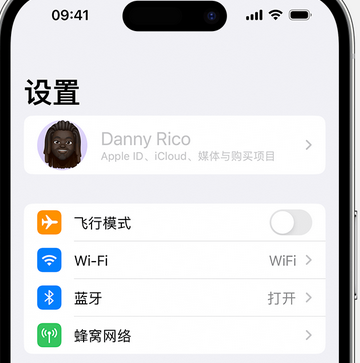 波莲镇appleID维修服务iPhone设置中Apple ID显示为灰色无法使用 