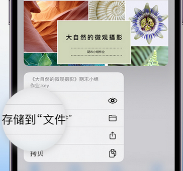 波莲镇apple维修中心分享iPhone文件应用中存储和找到下载文件