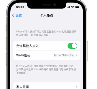 波莲镇apple服务站点分享iPhone上个人热点丢失了怎么办 