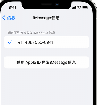 波莲镇apple维修iPhone上无法正常发送iMessage信息 