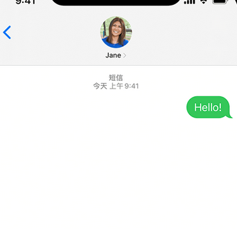 波莲镇apple维修iPhone上无法正常发送iMessage信息