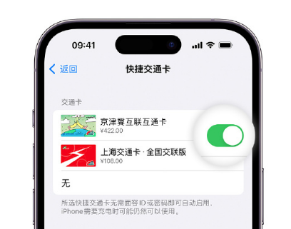 波莲镇apple维修点分享iPhone上更换Apple Pay快捷交通卡手绘卡面 