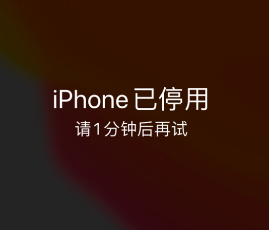 波莲镇苹果手机维修分享:iPhone 显示“不可用”或“已停用”怎么办？还能保留数据吗？ 