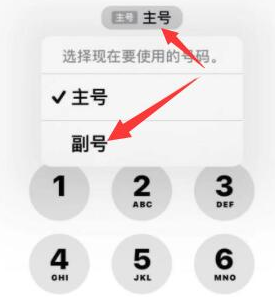 波莲镇苹果14维修店分享iPhone 14 Pro Max使用副卡打电话的方法 