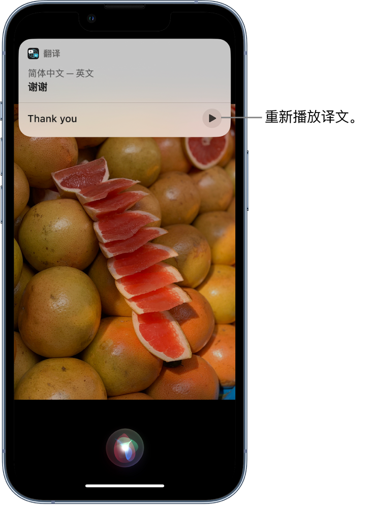 波莲镇苹果14维修分享 iPhone 14 机型中使用 Siri：了解 Siri 能帮你做什么 