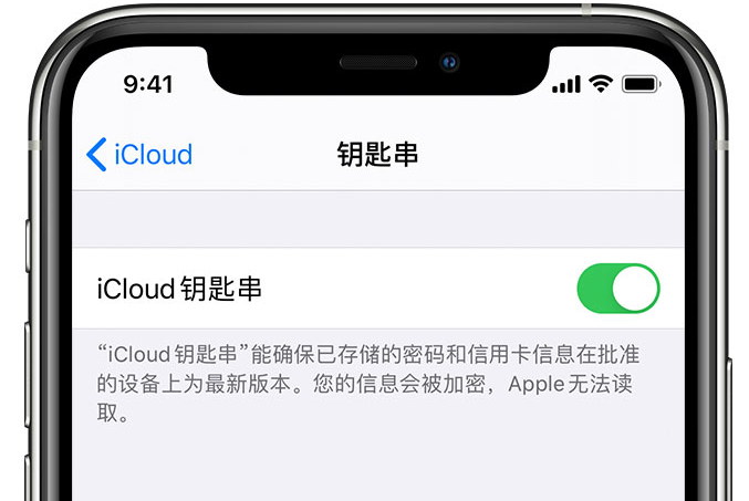 波莲镇苹果手机维修分享在 iPhone 上开启 iCloud 钥匙串之后会储存哪些信息 