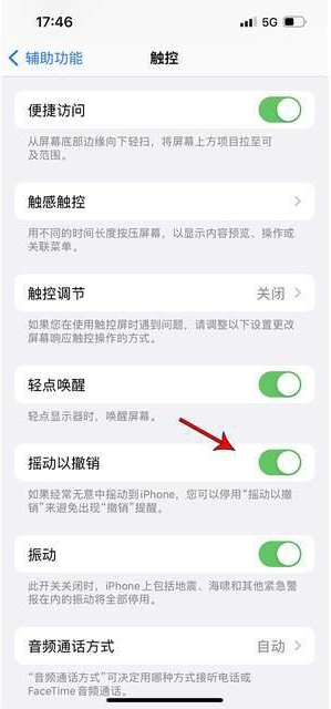 波莲镇苹果手机维修分享iPhone手机如何设置摇一摇删除文字 